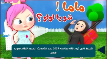 اضبط الآن تردد قناة وناسة 2025 بعد التحديث الجديد لنقاء صورة أفضل